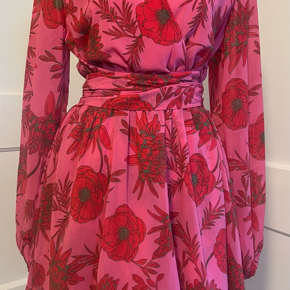 Beyond Words Pink Long Sleeved Romper with Red and Green Flowers. - Picture 4 of 8